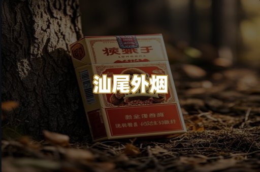 汕尾外烟